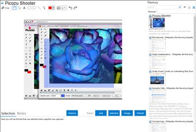 Picozu Shooter - Flamory bookmarks and screenshots