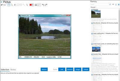Pictus - Flamory bookmarks and screenshots