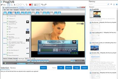 ProgDVB - Flamory bookmarks and screenshots