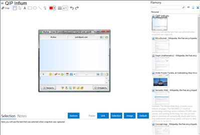 QIP Infium - Flamory bookmarks and screenshots