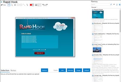 Rapid Hook - Flamory bookmarks and screenshots