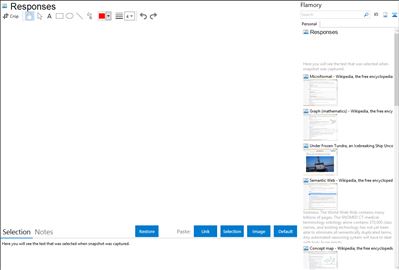 Responses - Flamory bookmarks and screenshots