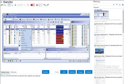 Sancho - Flamory bookmarks and screenshots