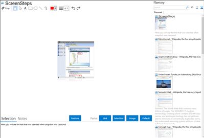 ScreenSteps - Flamory bookmarks and screenshots