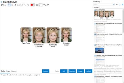 SeeStorMe - Flamory bookmarks and screenshots