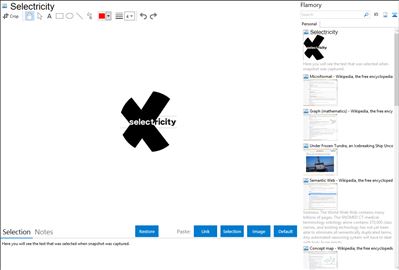 Selectricity - Flamory bookmarks and screenshots