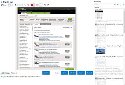 SellFire - Flamory bookmarks and screenshots