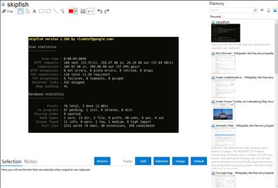 skipfish - Flamory bookmarks and screenshots