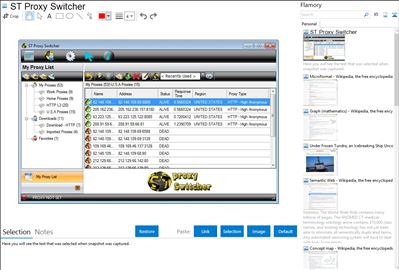 ST Proxy Switcher - Flamory bookmarks and screenshots