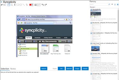 Syncplicity - Flamory bookmarks and screenshots