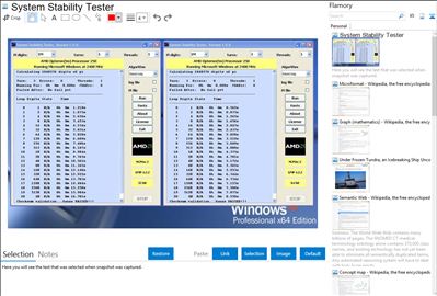 System Stability Tester - Flamory bookmarks and screenshots