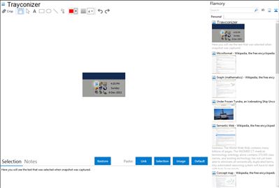 Trayconizer - Flamory bookmarks and screenshots