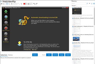 WebVideoRip - Flamory bookmarks and screenshots