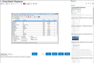 Word Batch Replacer - Flamory bookmarks and screenshots