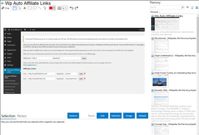 Wp Auto Affiliate Links - Flamory bookmarks and screenshots
